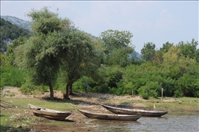 Skadarské jezero